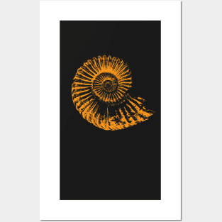 Paleontologists gift idea - Ammonite fossil Posters and Art